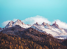 神！瓦科戴帽2场打入7球，薛庆浩送礼！泰山第三度扳平3-3申花！